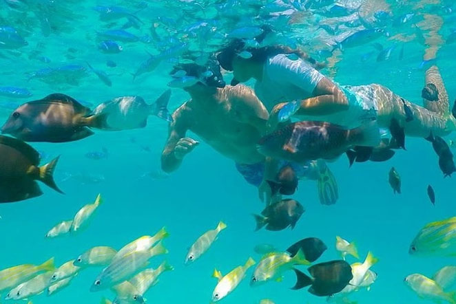 Maldives Diving and Cruise Holidays