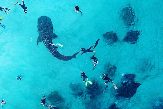 Maldives Diving and Cruise Holidays