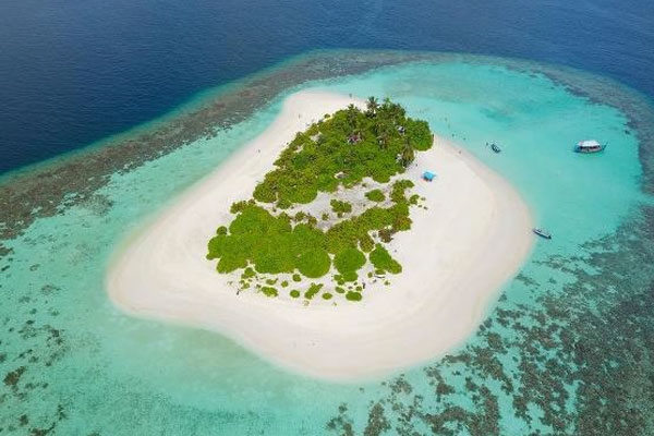 Maldives Diving and Cruise Holidays