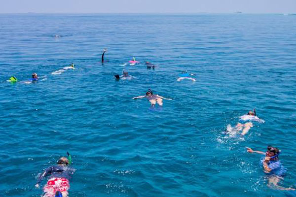 Maldives Diving and Cruise Holidays