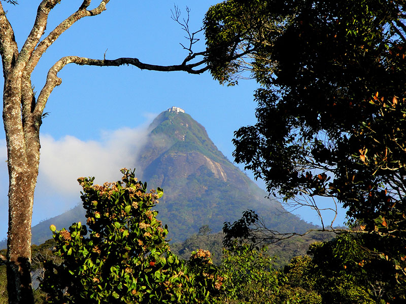 Active and Adventure Tour Sri Lanka