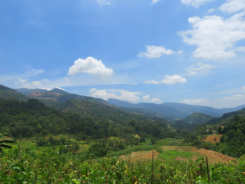 Active and Adventure Tour Sri Lanka