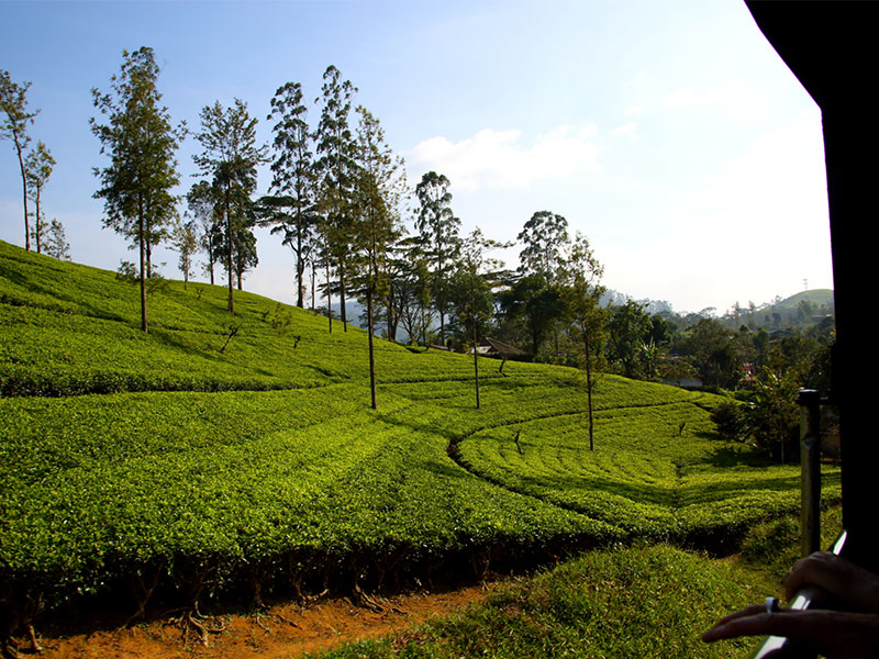 Active and Adventure Tour Sri Lanka