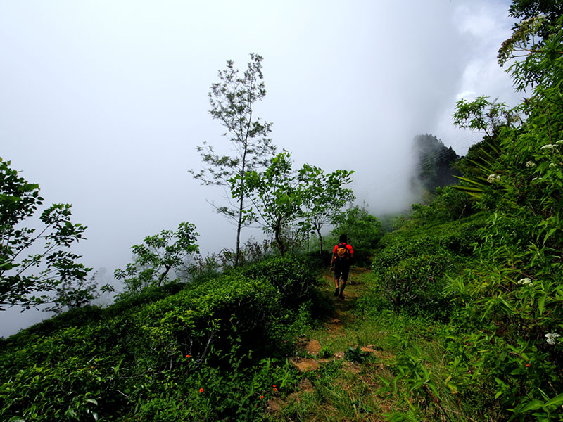 Active and Adventure Tour Sri Lanka