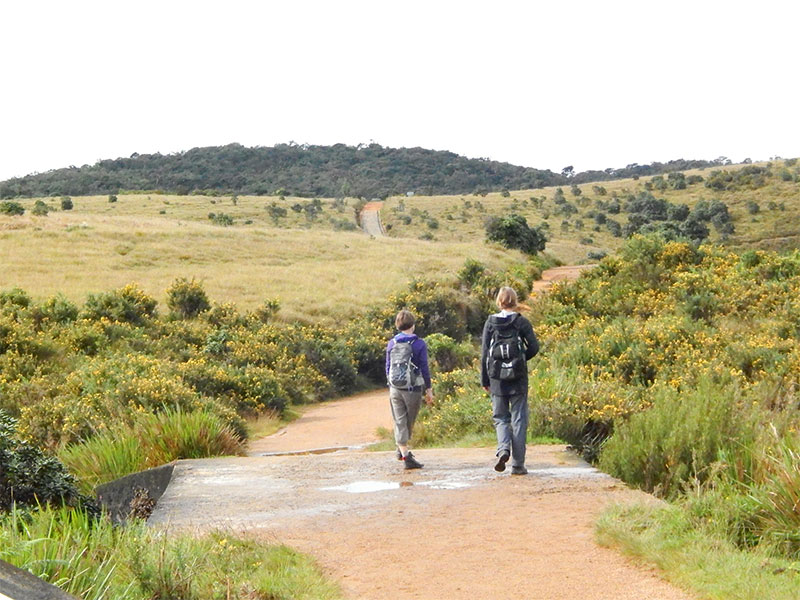 Active and Adventure Tour Sri Lanka