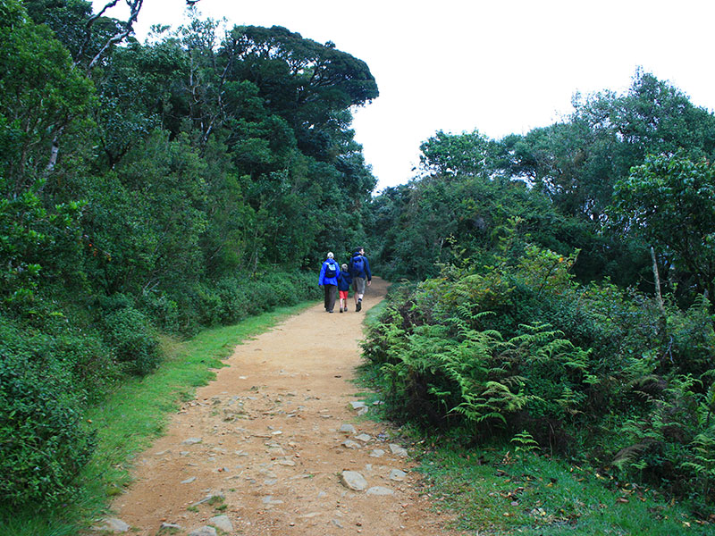 Active and Adventure Tour Sri Lanka