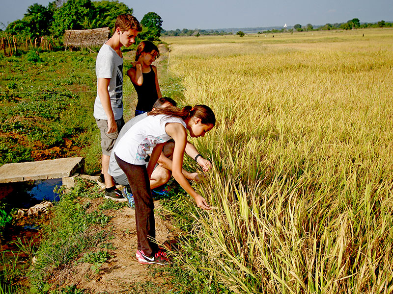 Active and Adventure Tour Sri Lanka