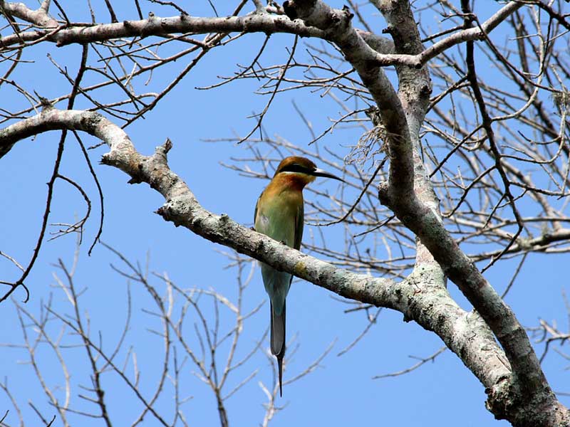Active and Adventure Tour Sri Lanka