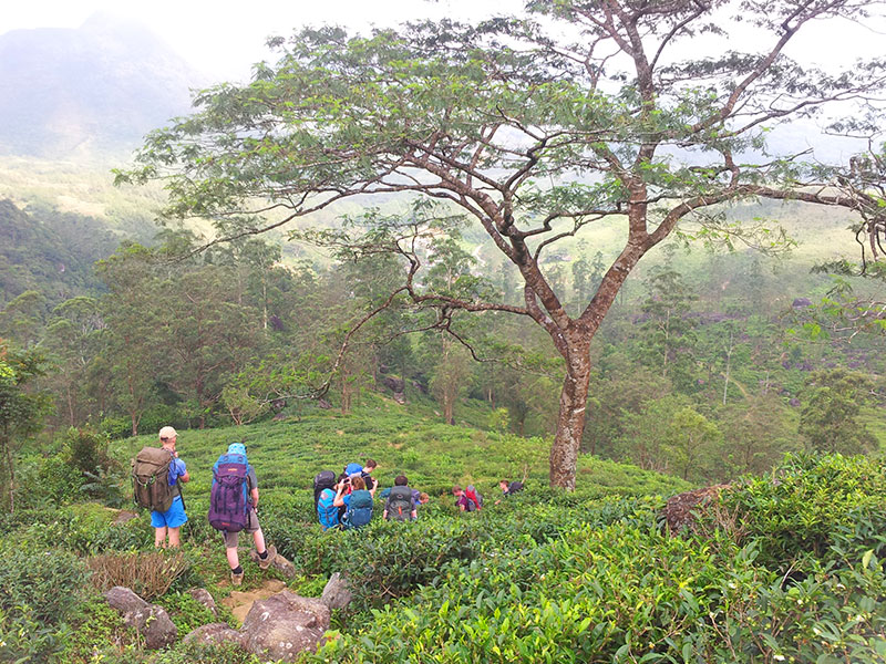 Active and Adventure Tour Sri Lanka