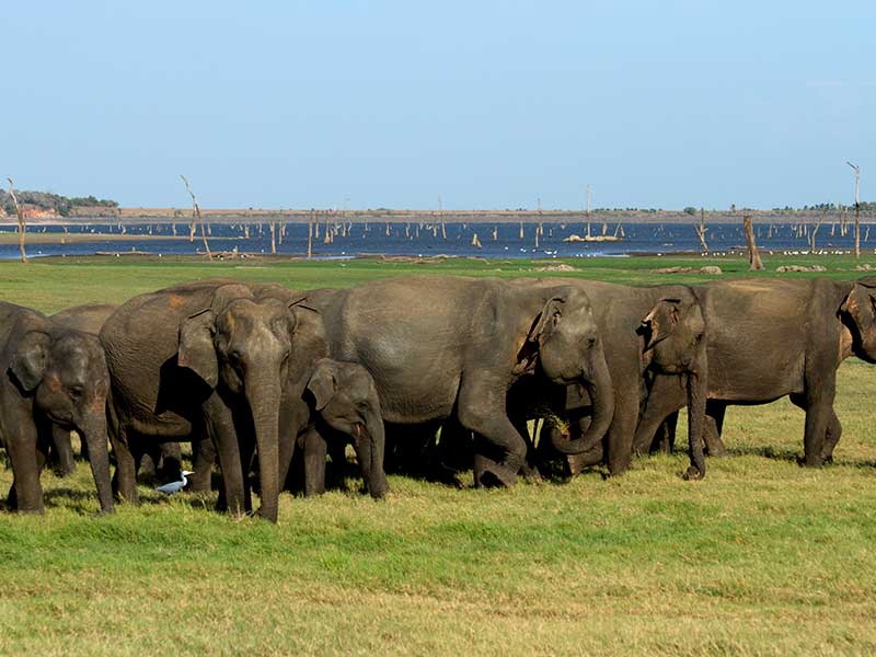Adventure Tour in Sri Lanka