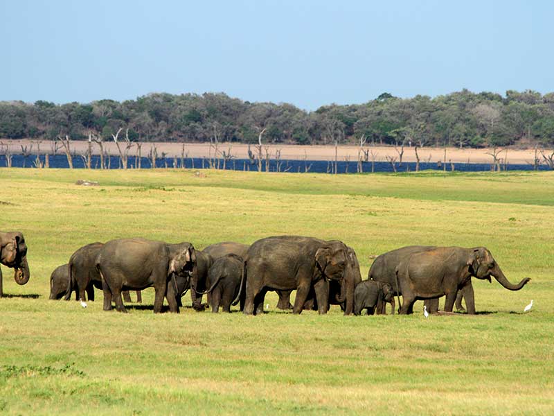 Adventure Tour in Sri Lanka
