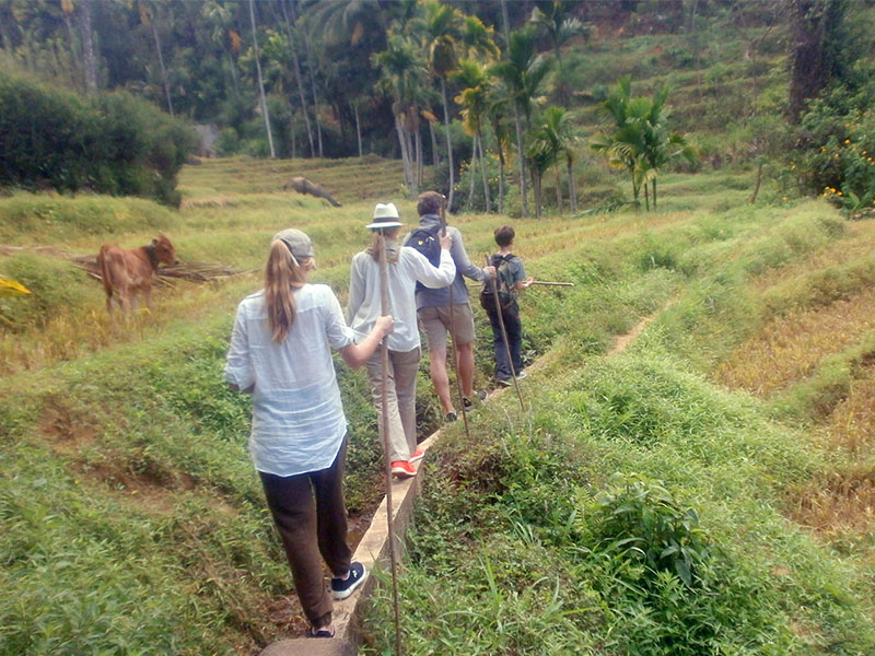 Adventure Tour in Sri Lanka