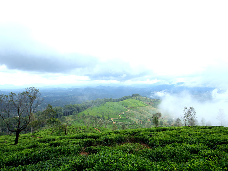 Adventure Tour in Sri Lanka