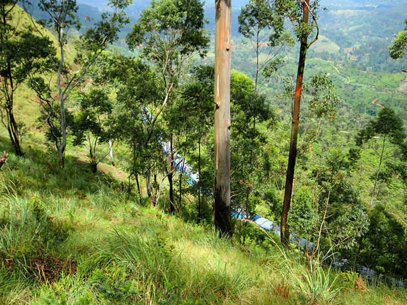 Adventure Tour in Sri Lanka
