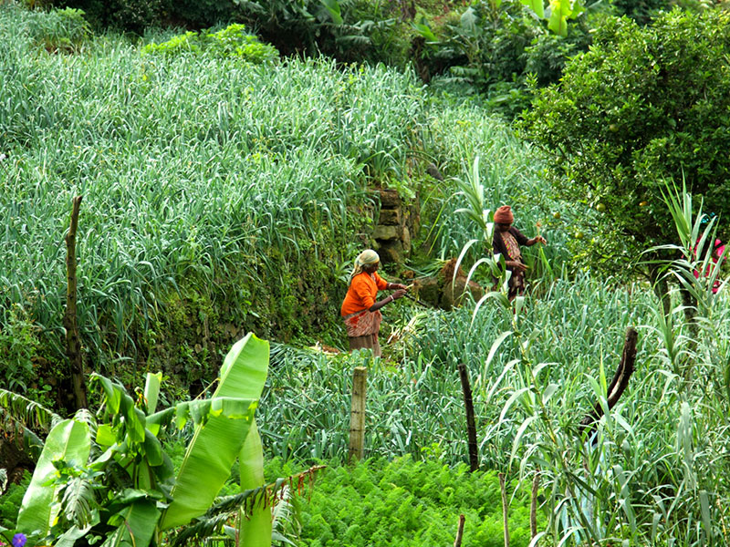 Adventure Tour in Sri Lanka