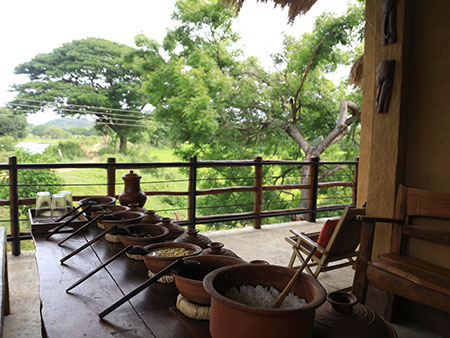Country Life in the Elephant Country