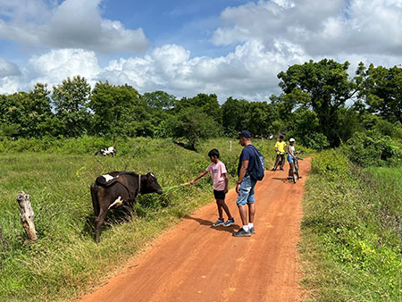 Country Life in the Elephant Country