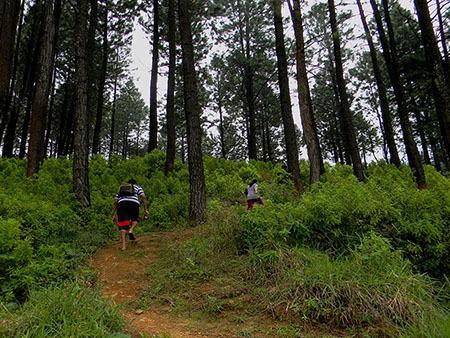 Trekking tours in Knuckles Mountains - Kncukles Trekking Trips - Knuckles Mountains Trekking Tours - Trekking Trips in Knuckles - Knuckles trekking tours - Sri Lanka Trekking Trips - Trekking Trips in Sri Lanka