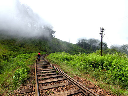 Scenic Trekking and Hiking Tours in Horton Plains and Bambarakanda Waterfall - Horton Plains trekking tours - bambarakanda waterfall trekking tours - Bambarakanda Waterfall and Horton Plains Trekking - trekking tours in sri lanka - Horton Plains Ohiya and Bambarakanda Waterfall Trekking Trip in Sri Lanka - sri lanka trekking & hiking trips