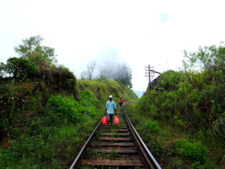 Scenic Trekking and Hiking Tours in Horton Plains and Bambarakanda Waterfall - Horton Plains trekking tours - bambarakanda waterfall trekking tours - Bambarakanda Waterfall and Horton Plains Trekking - trekking tours in sri lanka - Horton Plains Ohiya and Bambarakanda Waterfall Trekking Trip in Sri Lanka - sri lanka trekking & hiking trips