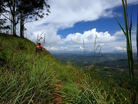 Scenic Trekking and Hiking Tours in Horton Plains and Bambarakanda Waterfall - Horton Plains trekking tours - bambarakanda waterfall trekking tours - Bambarakanda Waterfall and Horton Plains Trekking - trekking tours in sri lanka - Horton Plains Ohiya and Bambarakanda Waterfall Trekking Trip in Sri Lanka - sri lanka trekking & hiking trips