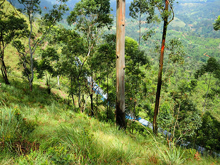 Scenic Trekking and Hiking Tours in Horton Plains and Bambarakanda Waterfall - Horton Plains trekking tours - bambarakanda waterfall trekking tours - Bambarakanda Waterfall and Horton Plains Trekking - trekking tours in sri lanka - Horton Plains Ohiya and Bambarakanda Waterfall Trekking Trip in Sri Lanka - sri lanka trekking & hiking trips