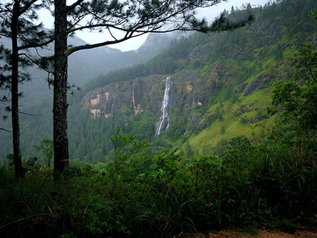 Scenic Trekking and Hiking Tours in Horton Plains and Bambarakanda Waterfall - Horton Plains trekking tours - bambarakanda waterfall trekking tours - Bambarakanda Waterfall and Horton Plains Trekking - trekking tours in sri lanka - Horton Plains Ohiya and Bambarakanda Waterfall Trekking Trip in Sri Lanka - sri lanka trekking & hiking trips