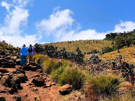Scenic Trekking and Hiking Tours in Horton Plains and Bambarakanda Waterfall - Horton Plains trekking tours - bambarakanda waterfall trekking tours - Bambarakanda Waterfall and Horton Plains Trekking - trekking tours in sri lanka - Horton Plains Ohiya and Bambarakanda Waterfall Trekking Trip in Sri Lanka - sri lanka trekking & hiking trips