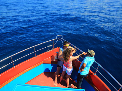 Beach and Wildlife Tours in Sri Lanka