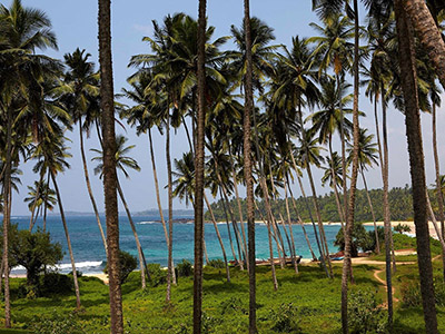 Sri Lanka Beach and Wildlife Tours