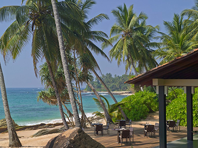 Sri Lanka Beach and Wildlife Tours