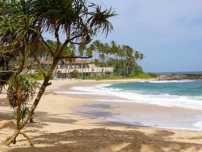 Sri Lanka Beach and Wildlife Tours