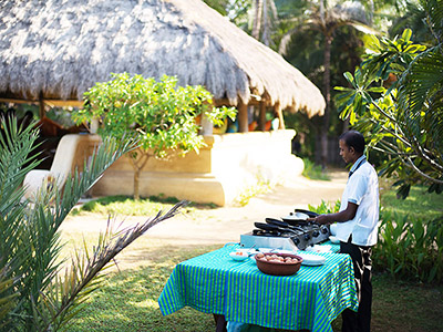 Beach and Wildlife Tour of Sri Lanka