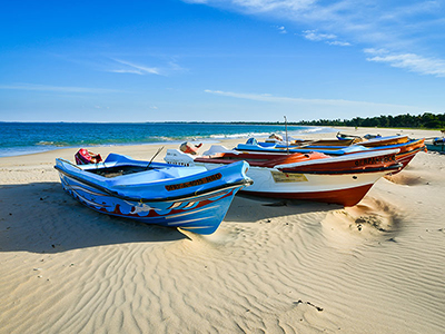 Beach and Wildlife Tours in Sri Lanka