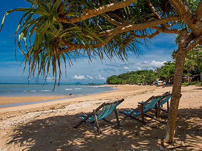 Beach and Wildlife Tours in Sri Lanka