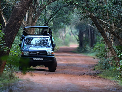 Beach and Wildlife Tours in Sri Lanka