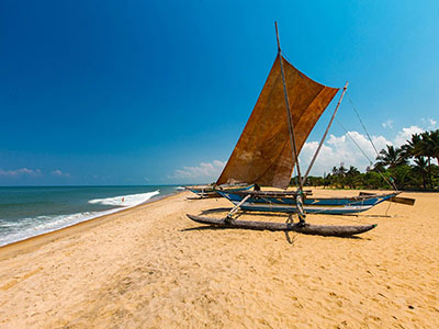 Beach and Wildlife Tours in Sri Lanka