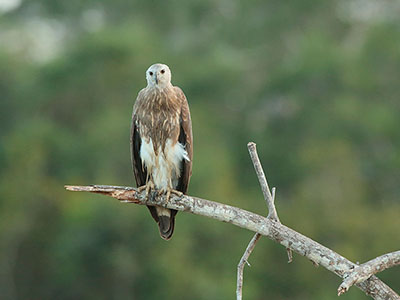 Beach and Wildlife Tours in Sri Lanka