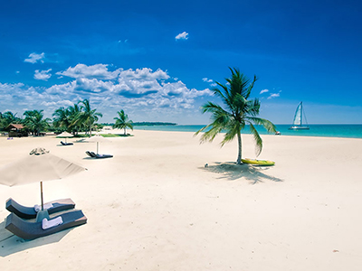 Beach and Wildlife Tours in Sri Lanka