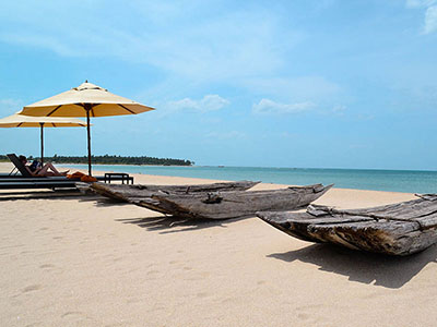Beach and Wildlife Tours in Sri Lanka