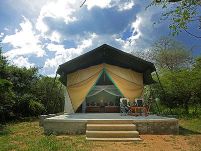 Beach and Wildlife Tours in Sri Lanka