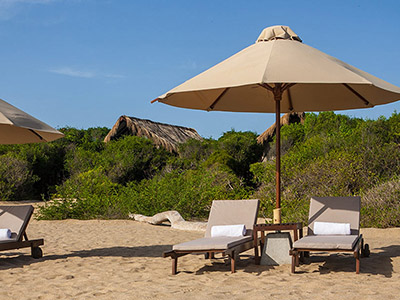 Beach and Wildlife Tour of Sri Lanka