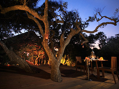 Beach and Wildlife Tour of Sri Lanka