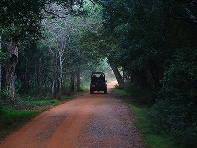 Beach and Wildlife Tour of Sri Lanka