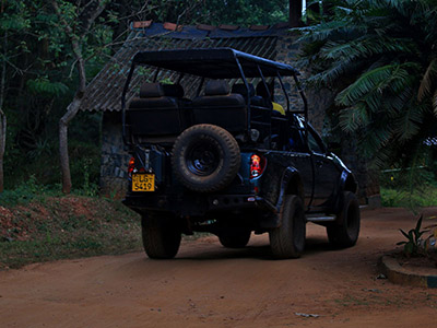Beach and Wildlife Tour of Sri Lanka