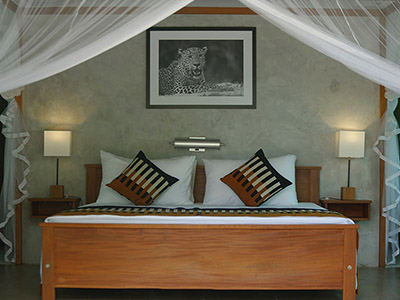 Beach and Wildlife Tour of Sri Lanka