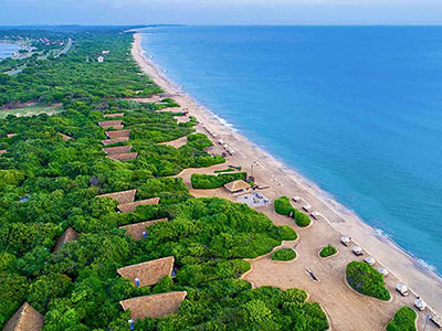 Beach and Wildlife Tour of Sri Lanka