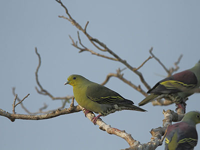 Beach and Wildlife Tour of Sri Lanka