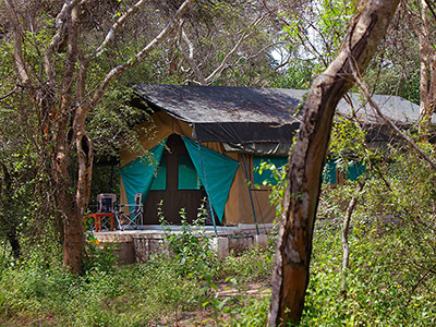 Beach and Wildlife Tours in Sri Lanka