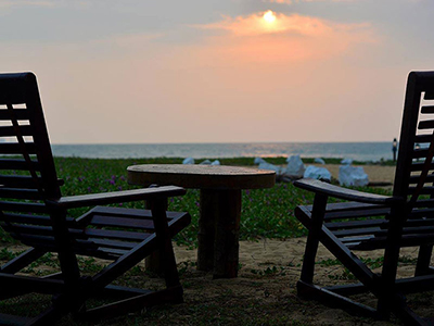 Beach and Wildlife Tours in Sri Lanka